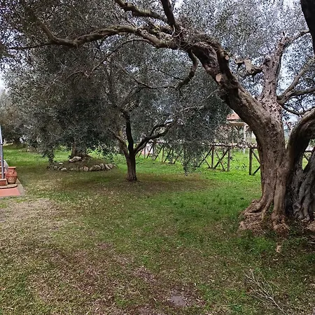 Farfollie Appartamento Pescia Romana